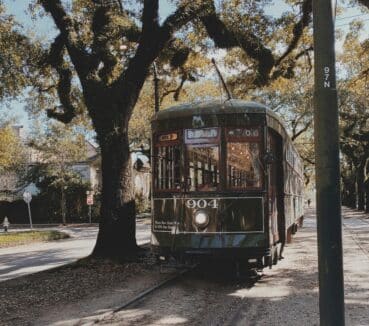 A green streetcar numbered 904 travels along tracks under large trees with sprawling branches. Sunlight filters through the leaves, casting shadows on the ground.